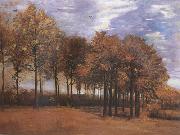 Vincent Van Gogh Autumn Landscape (nn04) USA oil painting reproduction